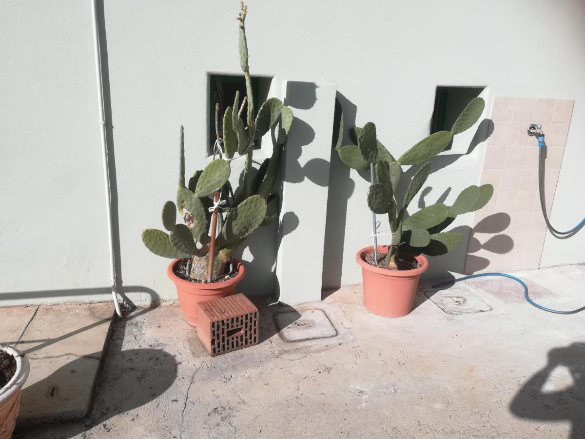 Gorizia Vacanze Appartamento In Villa Con Parcheggio 외부 사진